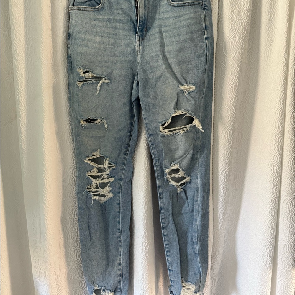 American Eagle Outfitters Distressed Light Blue Cropped Jeans